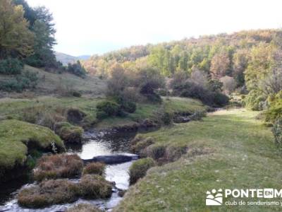 Excursiones en Madrid y alrededores, Parque Natural del Hayedo de Tejera Negra; rutas senderistas